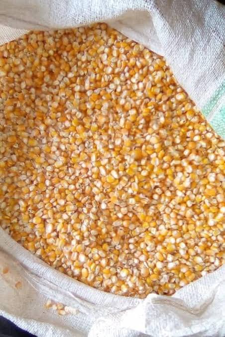 Pop Corns 1kg